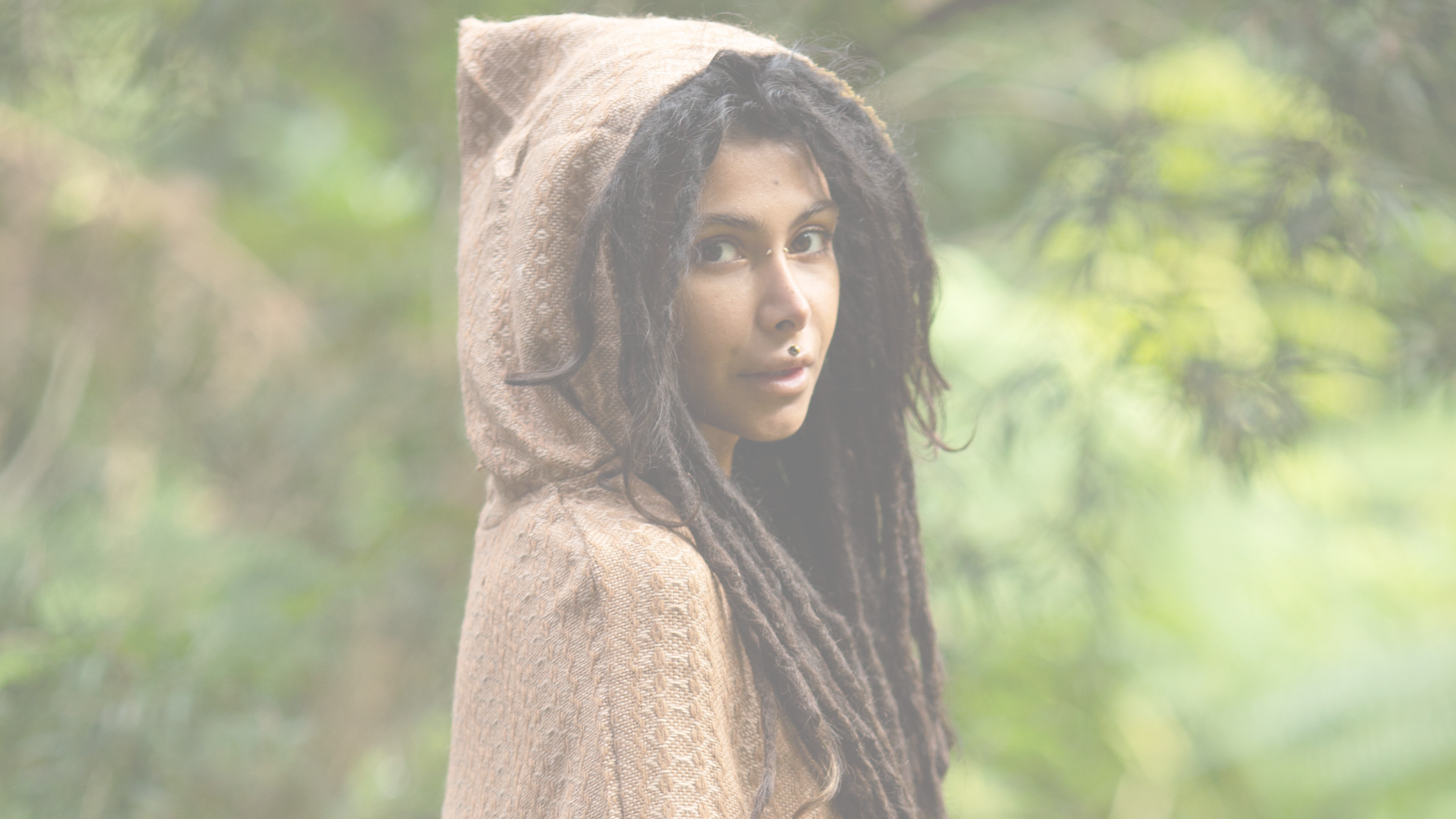 ALPACA WOOL COLLECTION