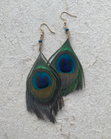 PEACOCK FEATHER EARRINGS - BLUE/GREEN